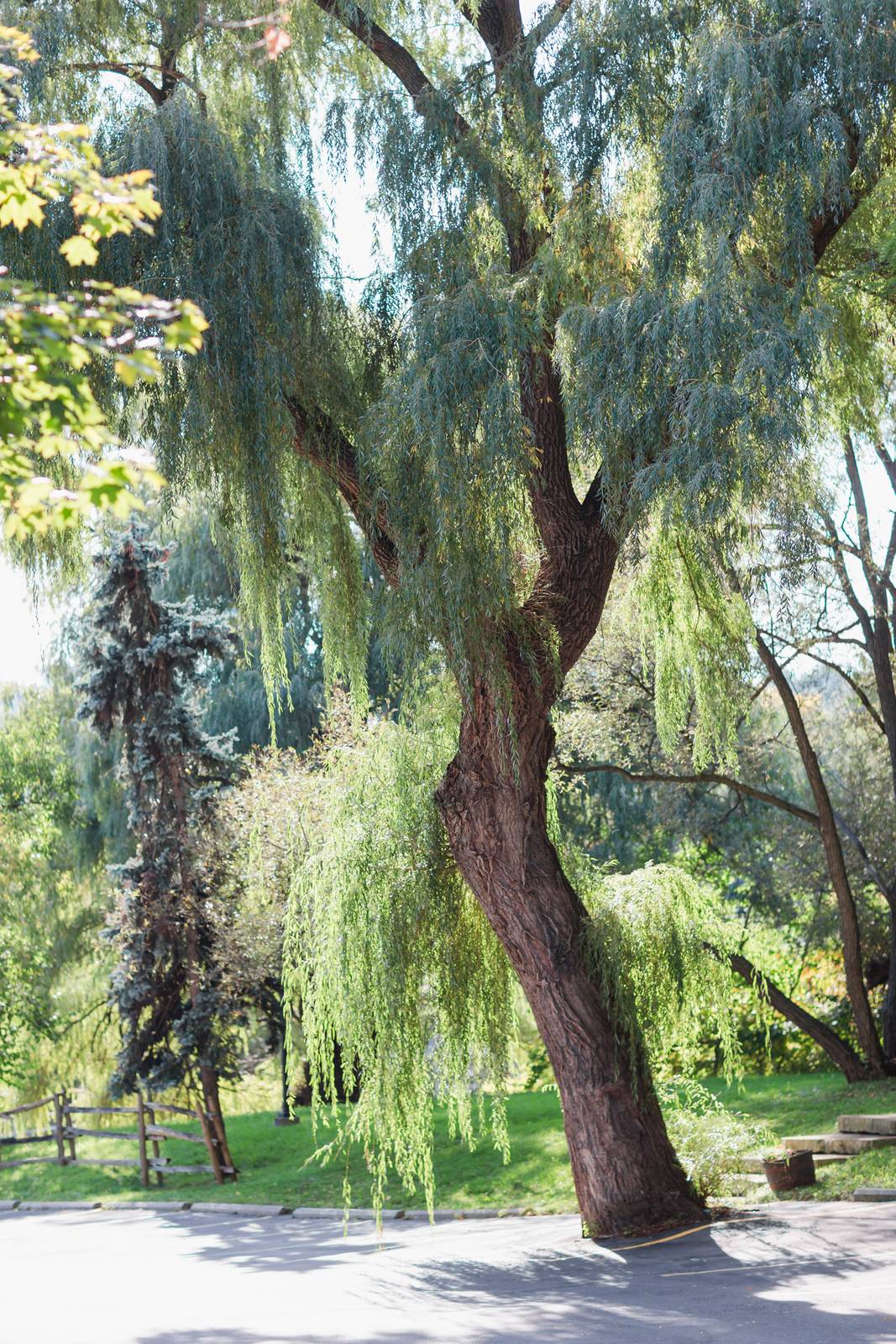 fantasy-farm-evergreen-brickworks-wedding-064